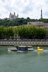 Cliquez sur la vignette pour l'agrandir